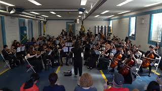 Haverford High School Orchestra at the Haverford Township Day 2024 [upl. by Oinotnaesoj]