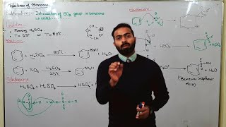 Sulphonation  Electrophilic Substitution Reactions of Benzene  ch9  12th class chemistry [upl. by Kreegar]