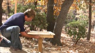 Platform Bird Feeder [upl. by Yirinec488]