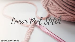 How to do LEMON PEEL  GRIDDLE  SEED STITCH Tutorial EASY Crochet Walkthrough for Beginners [upl. by Tadich689]