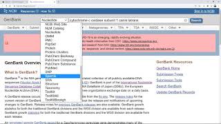 How to use GenBank [upl. by Arreic]