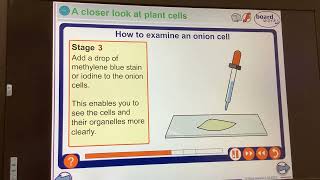 KS4GCSEBiologyCells Microscope practical [upl. by Suolevram]