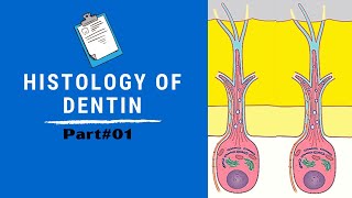 Histology of Dentin  Dentin Pulp Complex Session 4 [upl. by Bazil]