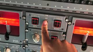 Embraer Legacy 600 APU Start Procedure [upl. by Ashmead584]