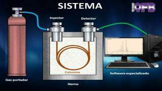 Cromatografo de gases  Funcionamiento sistemático básico [upl. by Cherry]