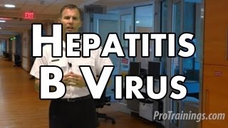 Hepatitis B Virus [upl. by Gnik]