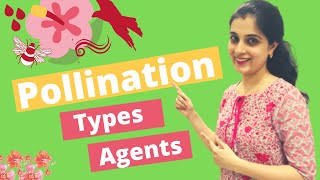 🌺 Pollination and Fertilisation Class 9 ICSE biology Types Agents of Pollination in Plants Class 9 [upl. by Emelita]