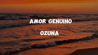 Ozuna  Amor Genuino LETRALYRICS [upl. by Sheply85]