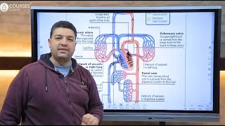 Hyperemia and congestion [upl. by Hewart]