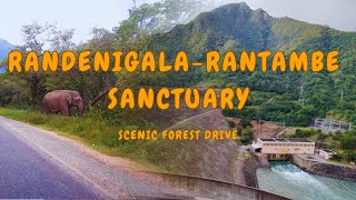 Scenic forest drive through VictoriaRandenigalaRantambe sanctuary Sri Lanka [upl. by Ellehcit]