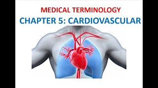 Language of Medicine Medical Terminology Chapter 11 Flashcards  Cardiovascular System [upl. by Lally617]