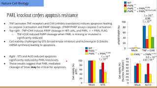 PARL mediates Smac cleavage during apoptosis [upl. by Ajaj]