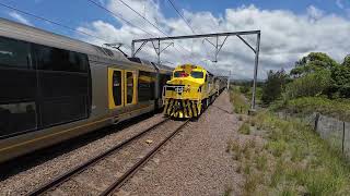 D179 with c507 44227 8049 b61 at cockle creek on 27 11 23 [upl. by Sudnak894]