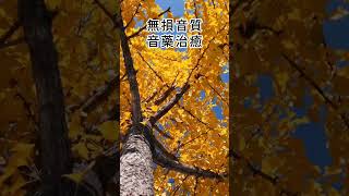 音樂治療五音療愈 水音入腎養腎滋養腎氣，腎音樂，补肾，養腎音樂，平心静气，中國風古音樂音樂療癒chinese music chinesemusic therapymusic 音樂治療 治疗音乐 [upl. by Nodanrb]