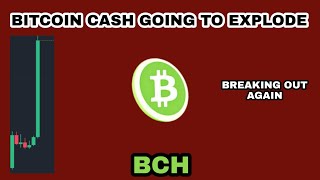 BITCOIN CASH GOING TO EXPLODE UPDATE IN 2024‼️ BCH CRYPTO BREAKOUT AGAIN‼️ BITCOIN CASH HALVING PUMP [upl. by Leilah947]