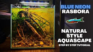 UNS 30C BLACKWATER FOR BLUE NEON RASBORAS Natural Style Aquascape Tutorial [upl. by Nerrag]