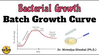 Phases of Bacterial Growth Curve microbiology growth bacteriology [upl. by Guido]