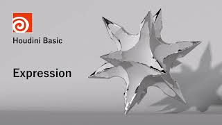 Houdini Basic 5  Expression [upl. by Gamages]