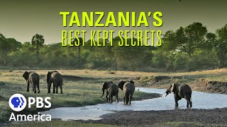 Tarangire FULL EPISODE  Tanzanias Best Kept Secret  PBS America [upl. by Luba]