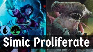 ALL THE COUNTERS Simic Proliferate Evolution Sage  Flux Channeler  MTG Arena  Deck Of The Day [upl. by Cindee]