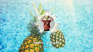 Remix  VOLARE DJ MLUC [upl. by Crockett30]