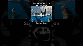 Hidden secrets of Antarctica [upl. by Nessy383]