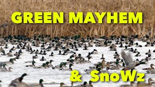 GREEN MAYHEM amp SnoWz  Claudio Ongaros Hired to Hunt Season 5 Duck and Goose Hunting at Ongaros [upl. by Pollak]