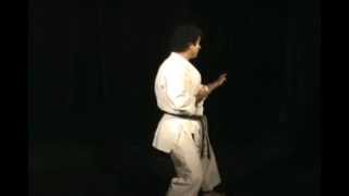 Heian Nidan Kata  Shotokan Karate [upl. by Einner166]