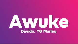 Davido YG Marley  Awuke Lyrics [upl. by Dhruv671]