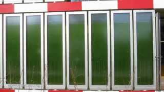 How Algae feed a House [upl. by Ambie]