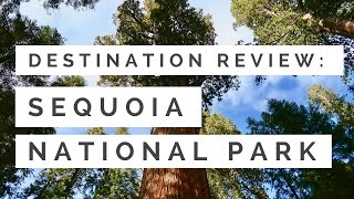 Sequoia National Park  Hiking Among the Oldest amp Largest Trees in the World [upl. by Ettedo]