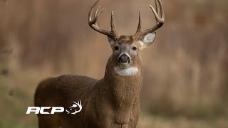 Sépaq Anticosti  Chasse aux chevreuils secteur Galiote [upl. by Amerigo]