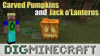 Carved Pumpkins and Jack oLanterns in Minecraft [upl. by Aibun]