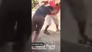 Gully fight is a great [upl. by Eleinad]