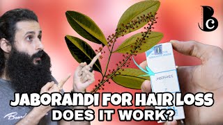 Jaborandi  A Natural Treatment For Hair Loss Balding amp Hair Growth  Bearded Chorka [upl. by Bluhm]