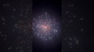 The Most Insane Fireworks Show Ever [upl. by Sanoy216]