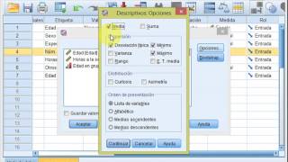 Obtener la desviación típica con SPSS [upl. by Geralda175]