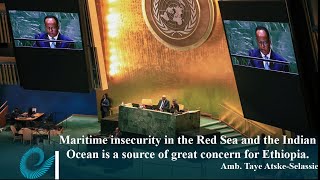 Maritime insecurity in the Red Sea and the Indian Ocean is a source of great concern for Ethiopia [upl. by Ilohcin]