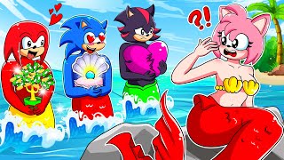 Mermaid Amys Choice  Who Is True Love  Sonic the Hedgehog 3 Animation [upl. by Naegem]