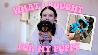 WHAT I BOUGHT MY PUPPY HAUL DOG DIARIES EP 4 [upl. by Lawton]