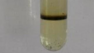 NITRIC ACID [upl. by Alisa]