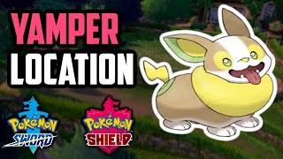 How to Catch Yamper  Pokemon Sword amp Shield [upl. by Okin]