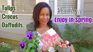 10 Tips You Should Know Before Planting Spring Blooming Bulbs [upl. by Nomrej821]