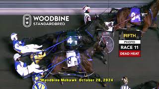 Woodbine Mohawk Park Live Stream  Monday October 28 2024 [upl. by Akirahs]