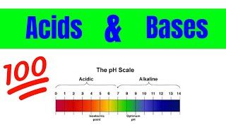 Properties of Acids and Bases  The Basics [upl. by Eserahs447]