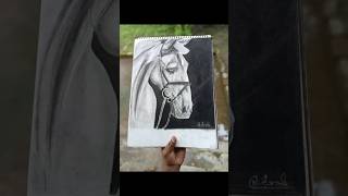 horse charcoal portrait artlovers charcoalsketch drawing sketchbook waterdrop horsesketch [upl. by Erolyat527]