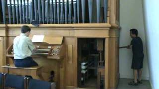 Handpumped Pipe Organ [upl. by Josephson]