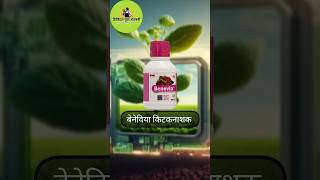 Benevia insecticide Dupont  Benevia insecticide uses shorts ytshorts farming [upl. by Eissehc]