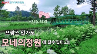 🌉세계최고👍프랑스화가모네의정원ㆍ모네의다리WorldsBestFrenchArtistMonets Garden and Monets Bridge모네울산가볼만한곳태화강국가정원 [upl. by Tebazile]