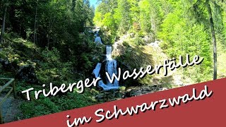 Besuch der Triberger Wasserfälle  die größte Kuckkuchsuhr der Welt  Topziele im Schwarzwald [upl. by Shirk]